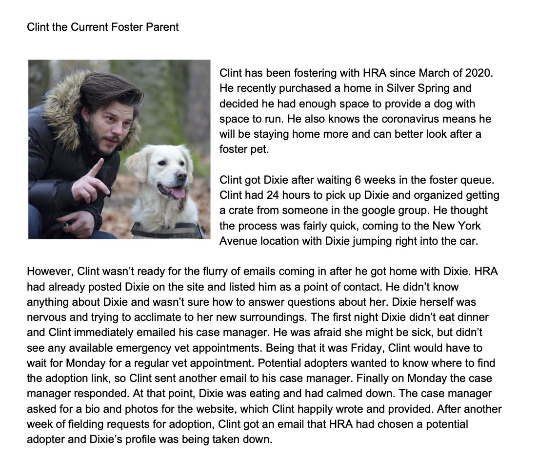 screenshot of 'Clint the current foster parent' persona. Follow Link for an accessible version